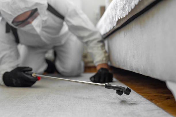 Professional Termite Control technician working in Providence, UT